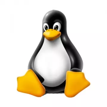 Linux : Installation et administration [Webmaster]