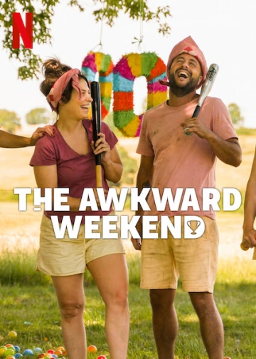 The Awkward Weekend  [WEB-DL 1080p] - MULTI (FRENCH)